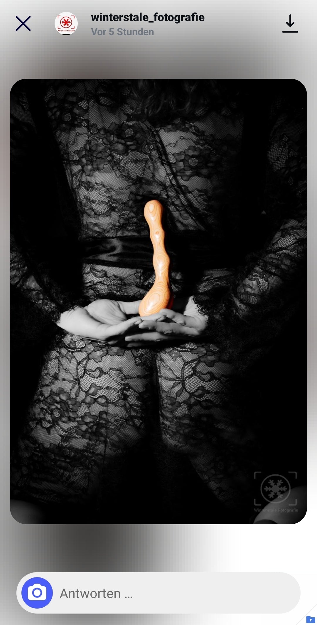 Dayni Die Dildos der Sommersession 2025