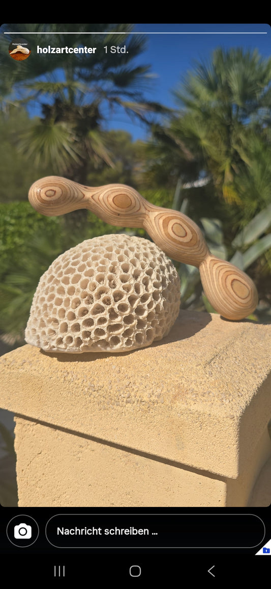 der 4er Kugel Dildo leicht gebogener ,doppelseitig nutzbarer Dildo