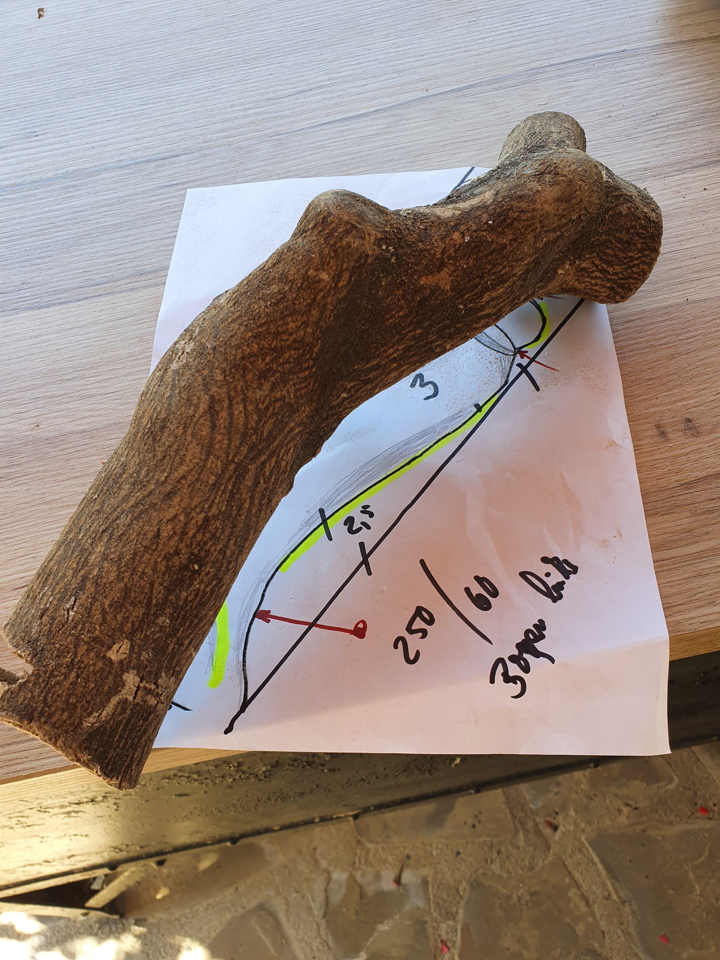 Das Königspaar 2 einzelne Exponate nur zusammen kaufbar
