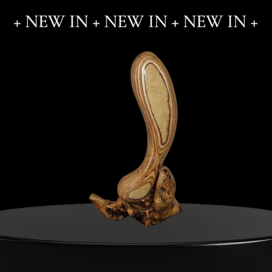 XIMA    Die Dildos der Sommersession 2025