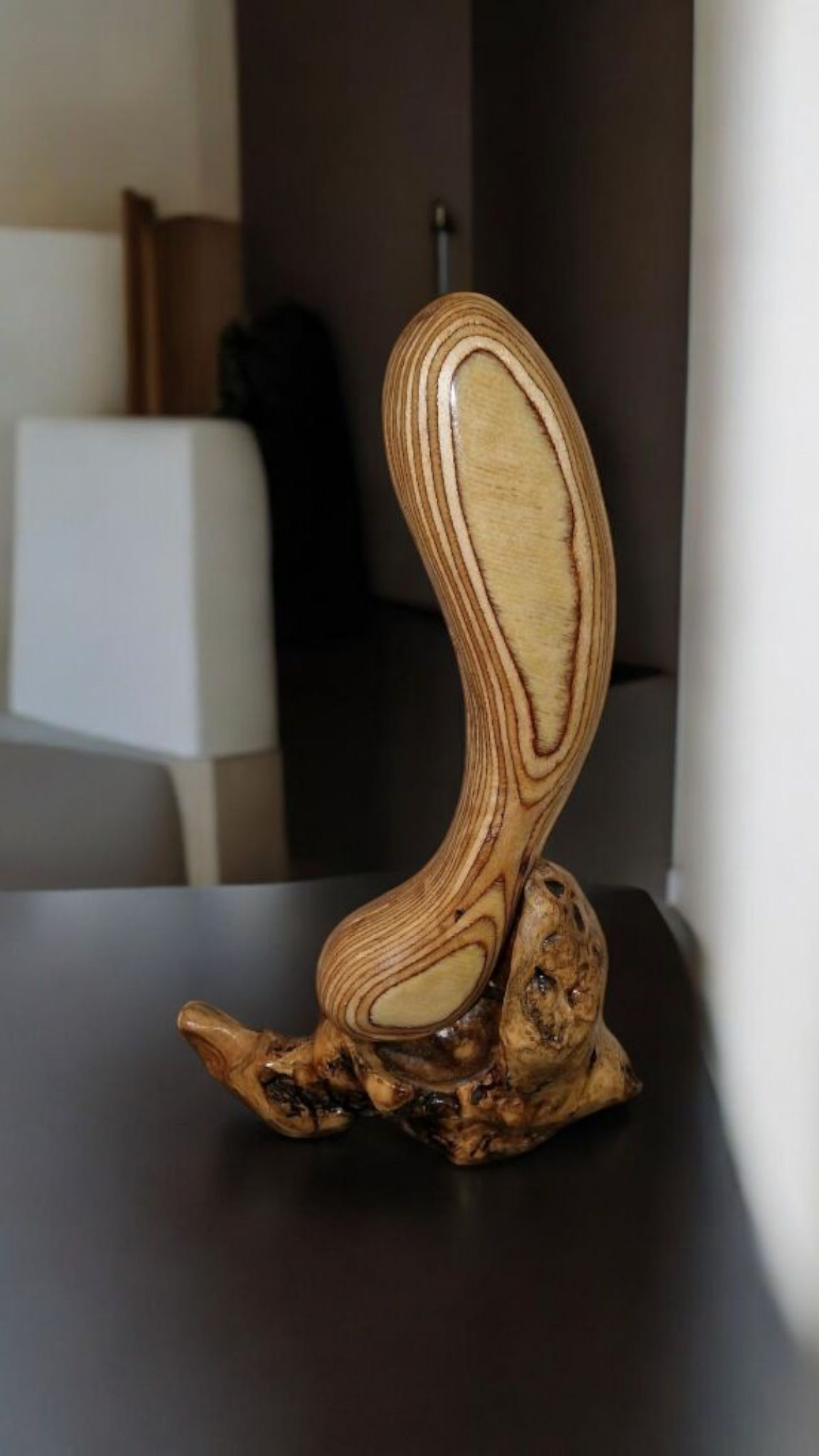 XIMA    Die Dildos der Sommersession 2025