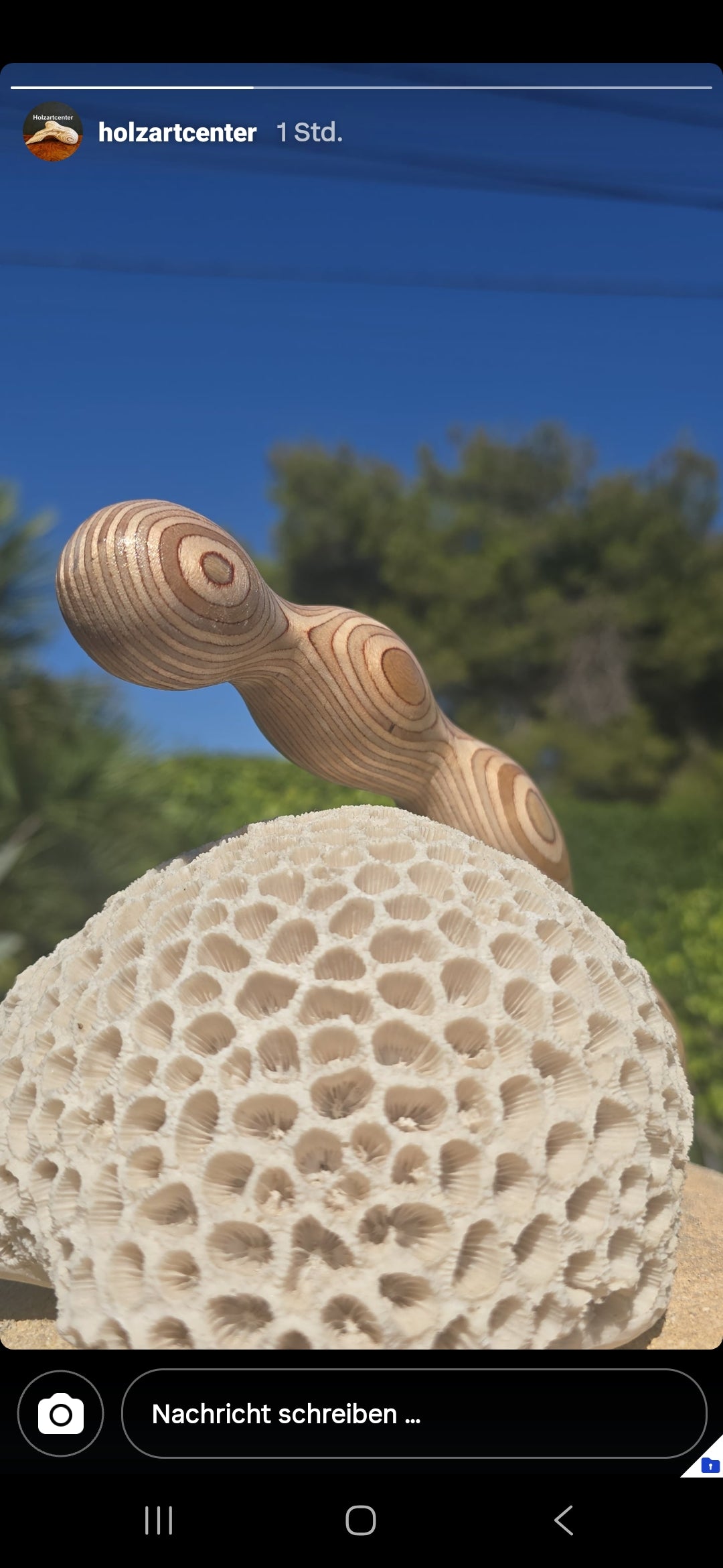 der 4er Kugel Dildo leicht gebogener ,doppelseitig nutzbarer Dildo